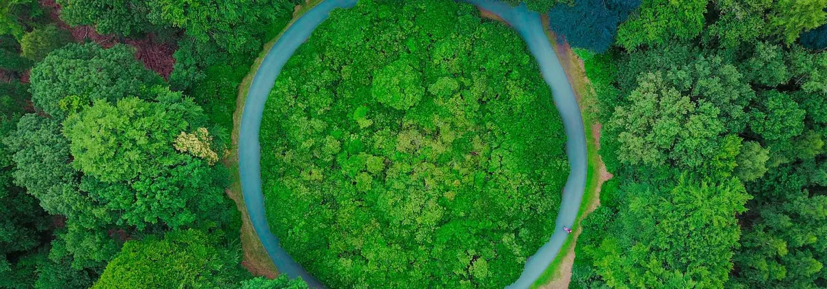 Artikel Header Bild zu TypeScript Declarations aus Spring REST API Metadaten generieren