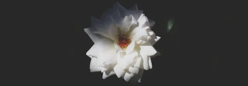 Testen deiner AngularJS Anwendung mit Jasmine