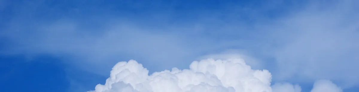 Artikel Header Bild zu Wie man eine WordCloud mit AngularJS + D3 erstellt