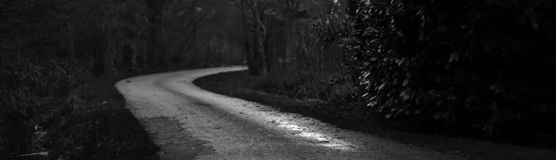 Das merkwürdige Verhalten von ng-show (vor AngularJS 1.3)