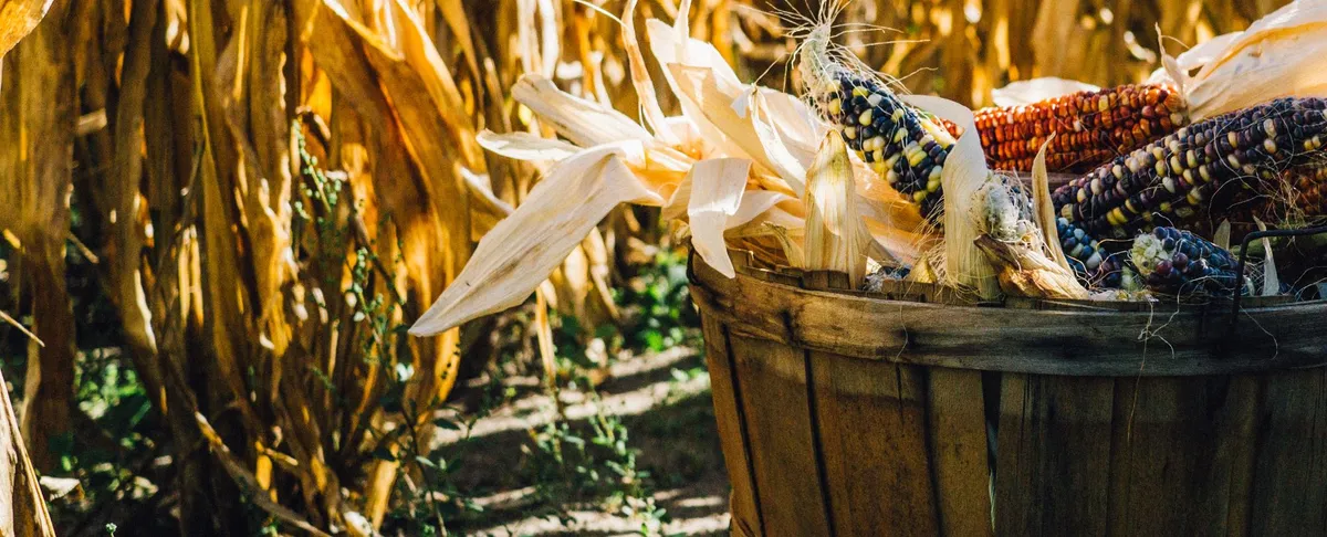 Artikel Header Bild zu Ionic Framework Tutorial - Umgang mit Popups