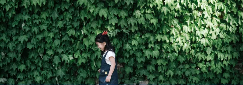 Angular 8 - Neue Features und Anleitung zum Update