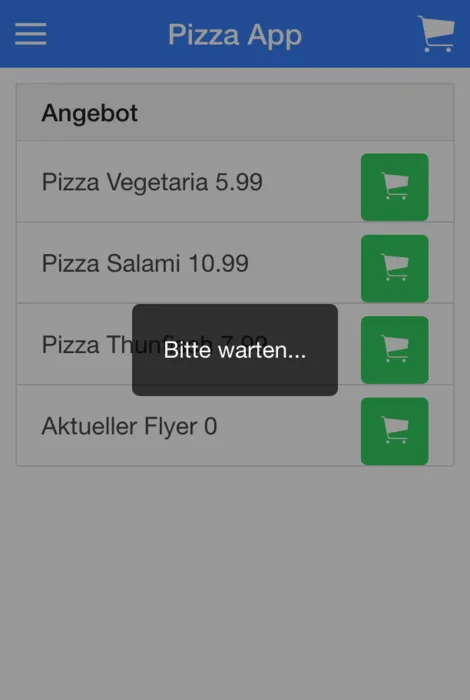 Ionic Tutorial Loading Layer