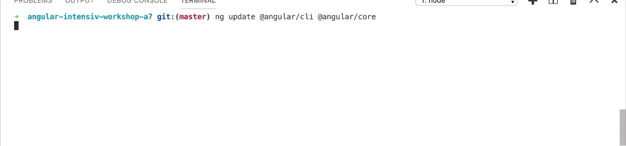 ng update example run on an angular v7 project